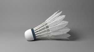 badminton sport 3D