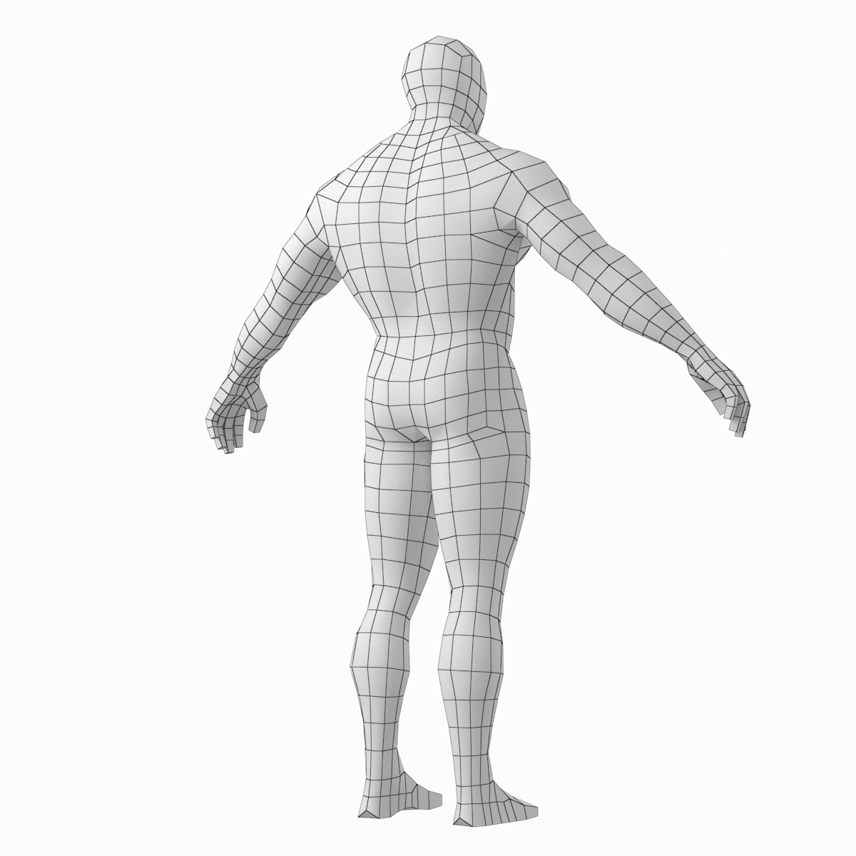 健美男基础网格的姿势3d模型