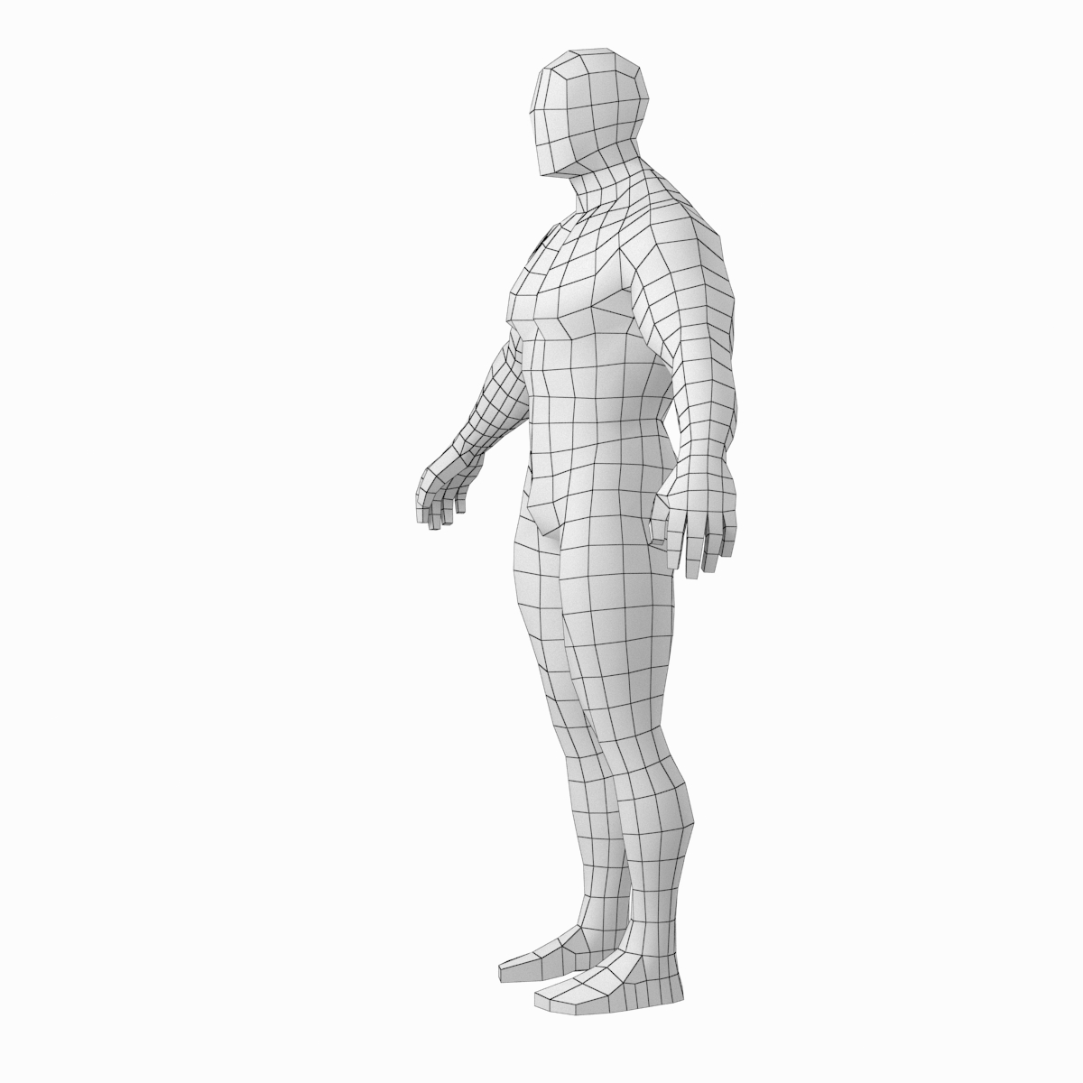 健美男基础网格的姿势3d模型