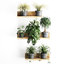 3D plants wall decor vertical