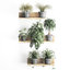 3D plants wall decor vertical