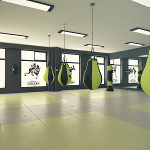 kickboxing gym 3D