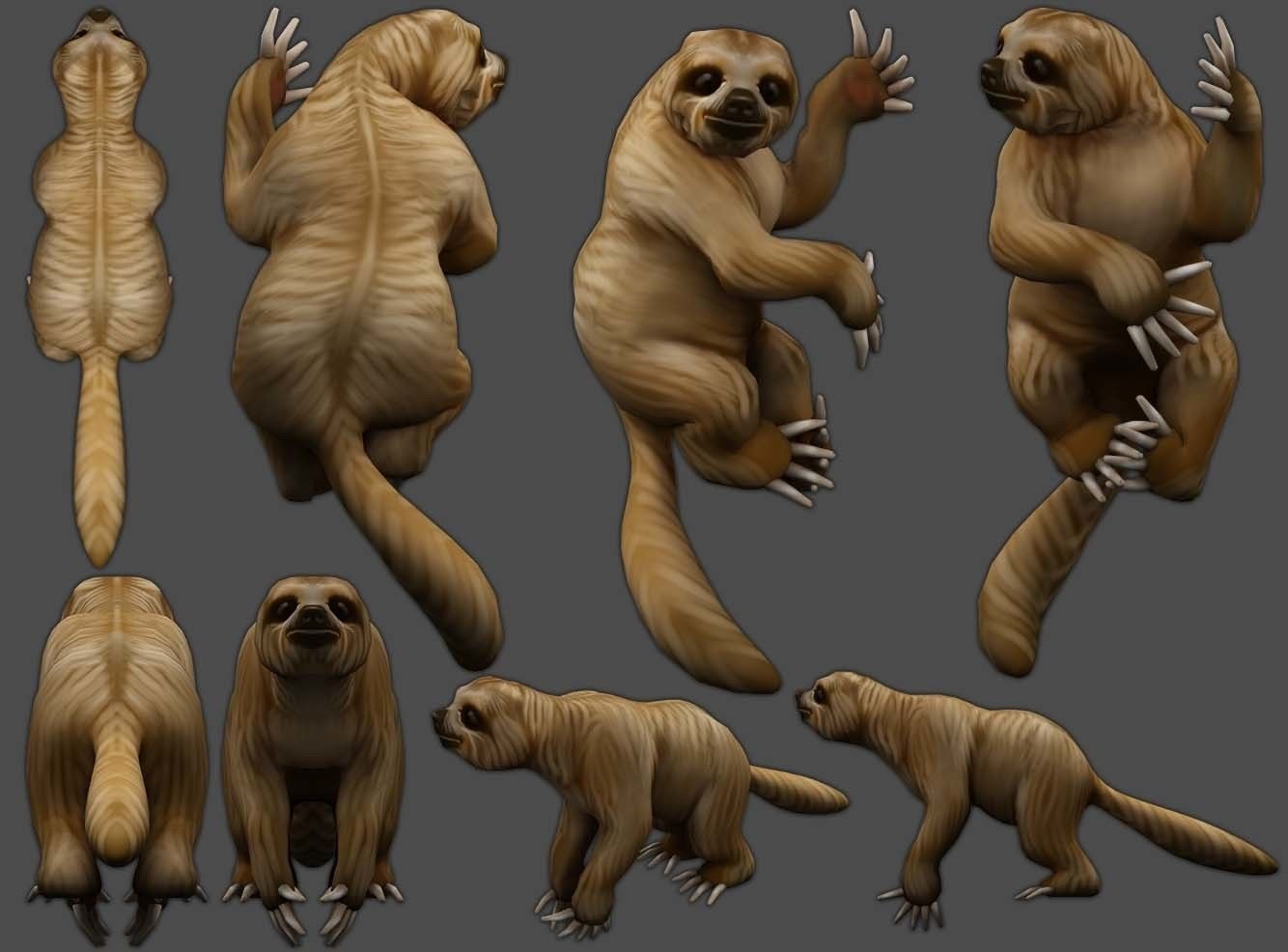 3D sloth low-poly model - TurboSquid 1461625