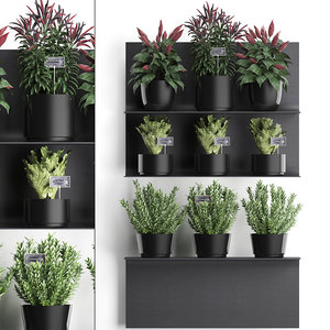 plants wall decor vertical 3D