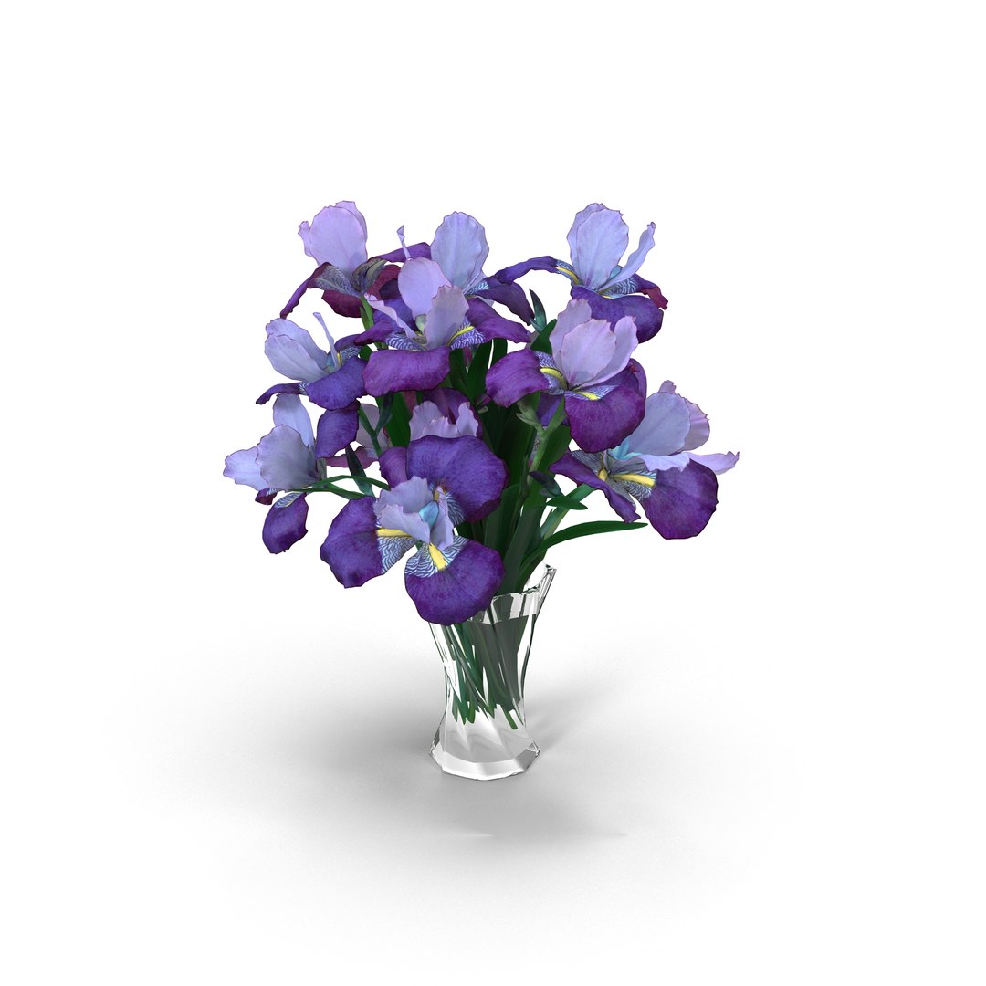  3D  model  bouquet iris  TurboSquid 1461898