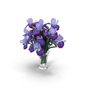 3D model bouquet iris