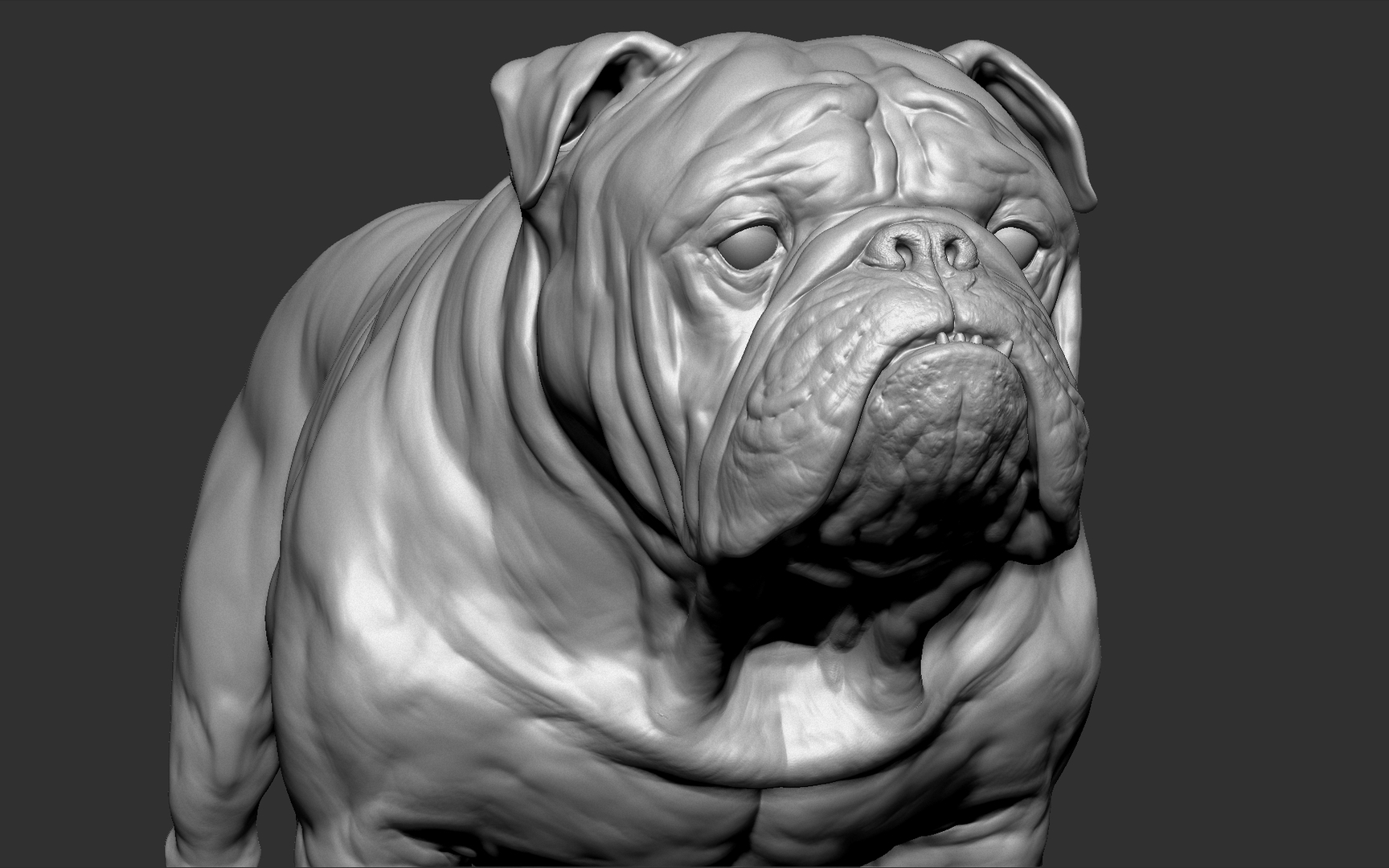 English bulldog dog vfx 3D - TurboSquid 1461982