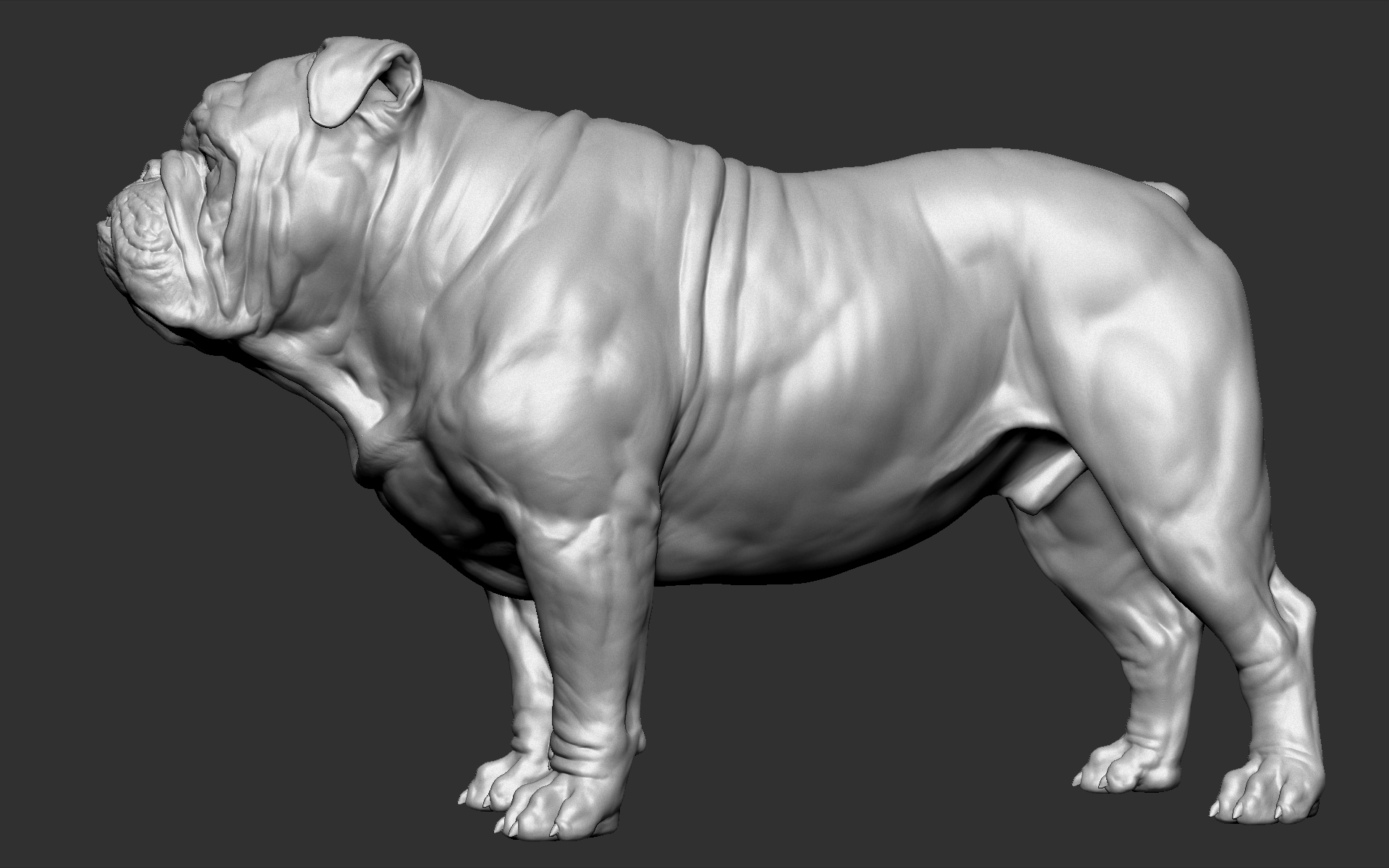 English bulldog dog vfx 3D - TurboSquid 1461982