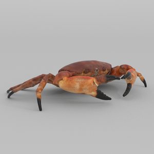 3D model crab vr realtime