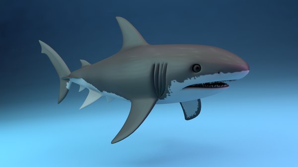 White Shark 3d Model Turbosquid