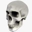 skull 3D
