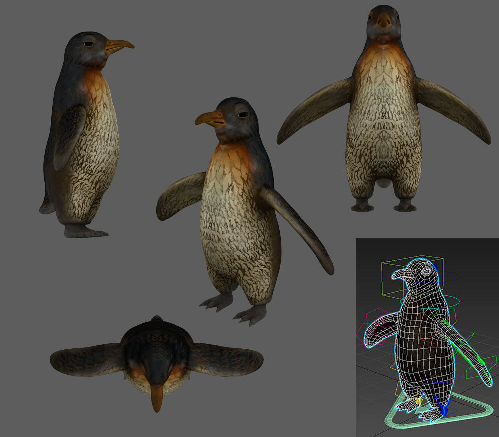 Penguin Low Poly Model Turbosquid 1463109