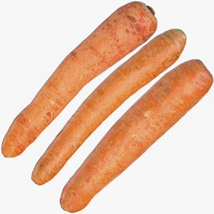 carrots 03 3D