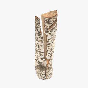 sculpt log birch cracked 3D model