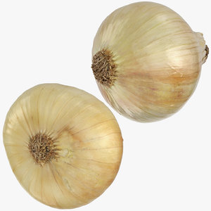 3D yellow onions 03