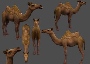 Camel 3d Models For Download Turbosquid