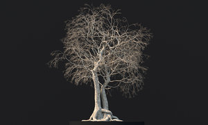 dead tree 3D