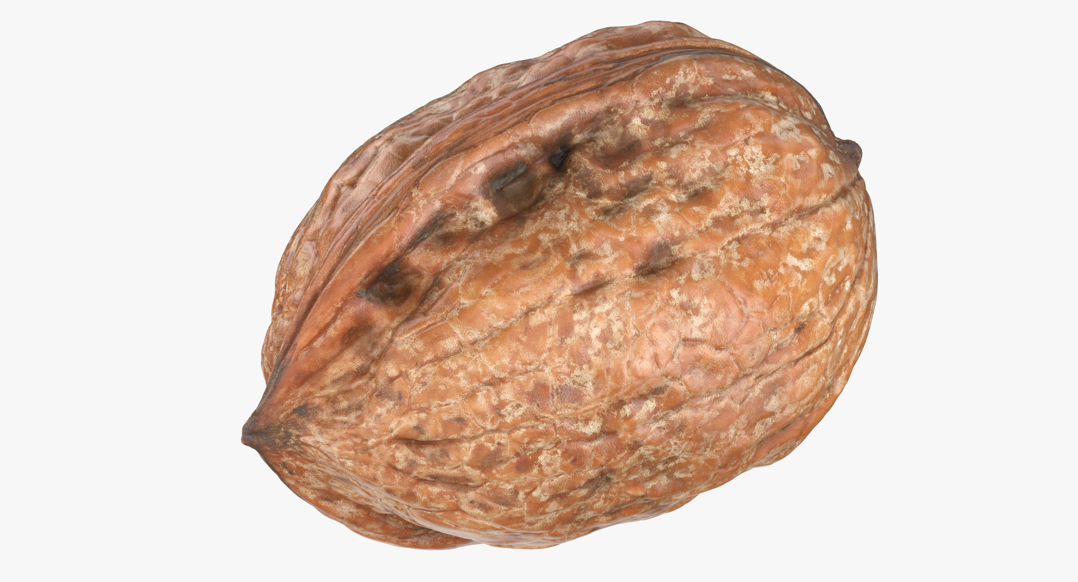 3D walnuts 02 - TurboSquid 1463768