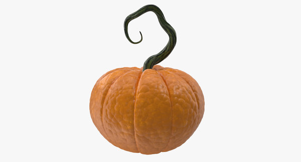 pumpkin 3d