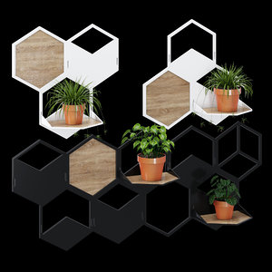 3D wall plant holder