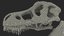 tyrannosaurus rex skeleton fossil 3D