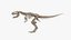 tyrannosaurus rex skeleton fossil 3D