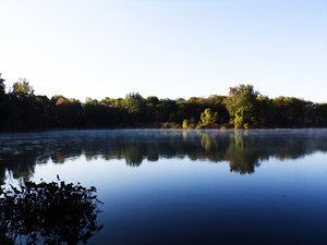 trees reflecting on the lake at sunrise