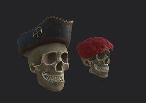 3D pirate hat