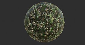 Forest Ground with Water PBR Texture