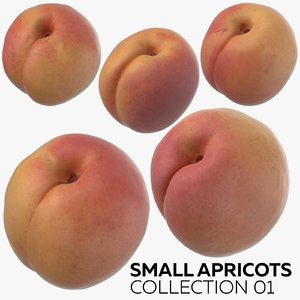 3D small apricots 01 model