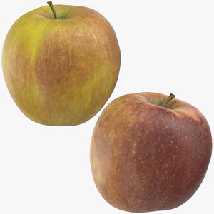 ambrosia apples 03 model