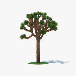 3D joshua tree