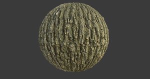 Tree Bark 005 PBR Texture