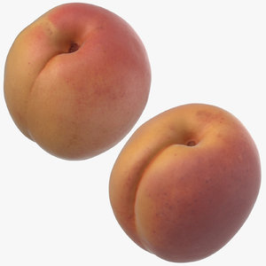 small apricots 03 model