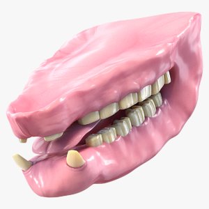 realistic rhino mouth 3D model
