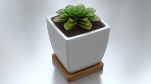 3D succulent pot