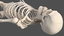 male skeleton cardiovascular lymphatic 3D model