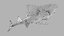 3D bowmouth guitarfish