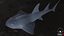 3D bowmouth guitarfish