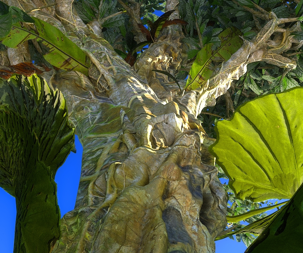 3d Rain Forest Ecosystems Model Turbosquid 1466105