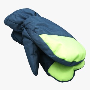 winter gloves 3D model