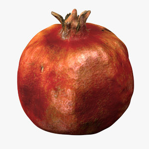 scanned pomegranate model