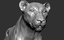 3D model lion cat big