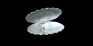 3D ocean shell pearl