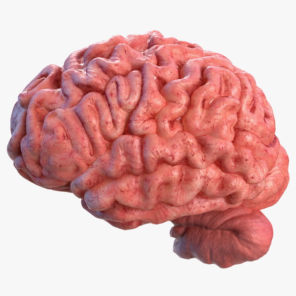 "Easy As 1-2-3" Anti-Aging Program - Why Brain Health Is The First Priority