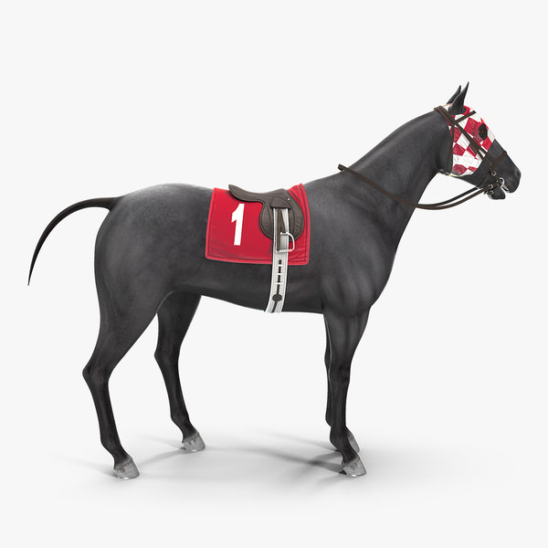 racehorse black animal horse 3D