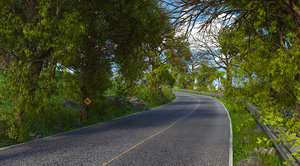 3D mountain forest road model