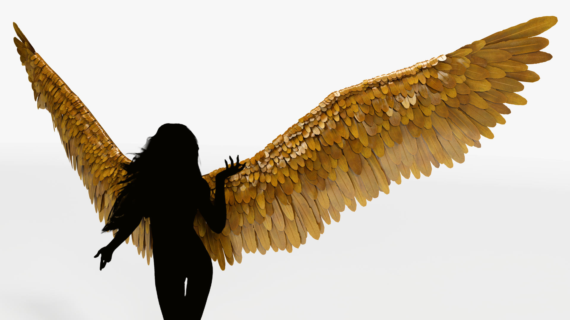 金色天使之翼