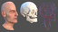 anatomical male head neck model
