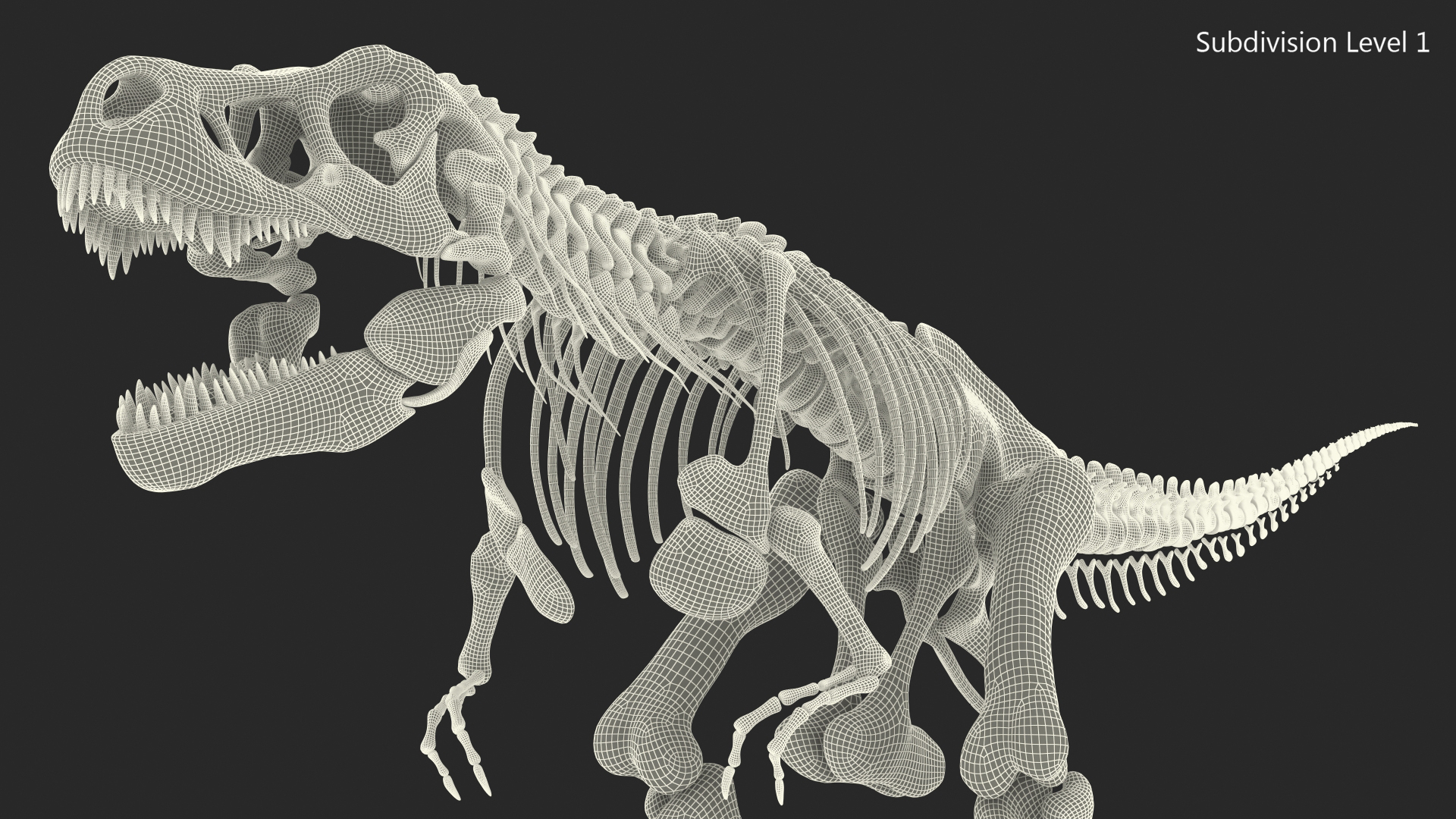 霸王龙骨架3d模型